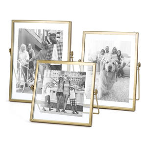 Gold Floating Frame Double-sided Glass Photo Frame For Plant Wall Hanging Home Decoration Table Standing