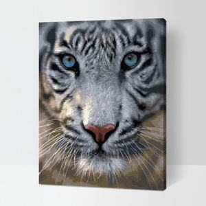 White Tiger Digital Painting Kit Wall Art Framed Paint By Number Home Decor For Living Room