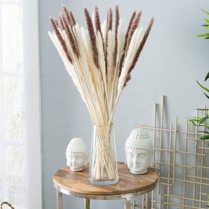 2022 amazon hot sale yunnan dried flowers pampas grass flowers 15-30 cm 15pcs per bundle home decor