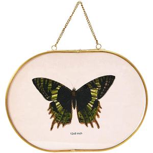 Wall Oval shape floating glass photo frame rustic hanging double sided glass picture frame pressed flower frame home decor