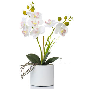 High Quality Real Touch Artificial Latex Butterfly Orchids Flower Silk Cloth Film Orchid for Wedding Party Home Decoration