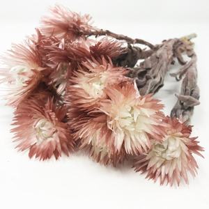 DIY Floral arrangements Natural Everlasting Dried Flowers Decorative Anemone Drynaria Silver Daisy Flower for home decor