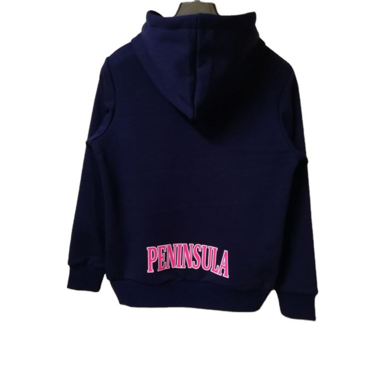 OEM customized high quality men's pure cotton blank hoodies men sport hoodies men clothes