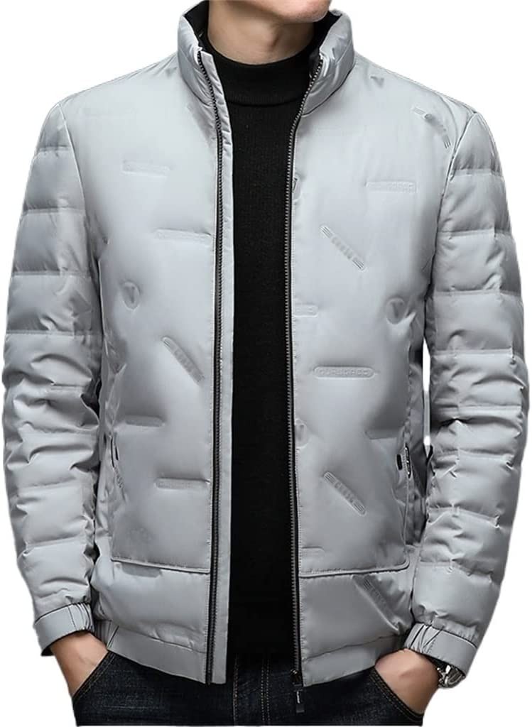 CZDYUF Men's Autumn and Winter Light Casual Short Standing Collar Down Jacket in Young People Winter Down Jacket (Color : D, Size : Large)