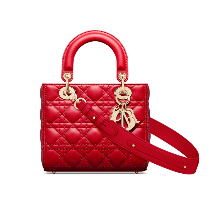SMALL LADY DIOR MY ABCDIOR BAG