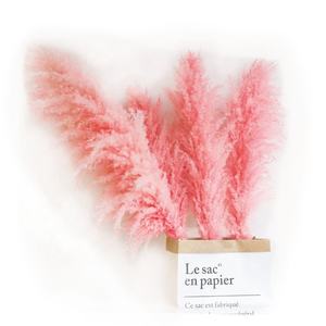 FCD1002 High-quality Natural Dried Pampas Grass for Home Decoration