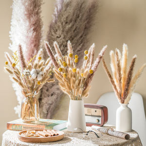 free sample amazon top seller Dry Flower Pampas Grass For party decorations Home decoration